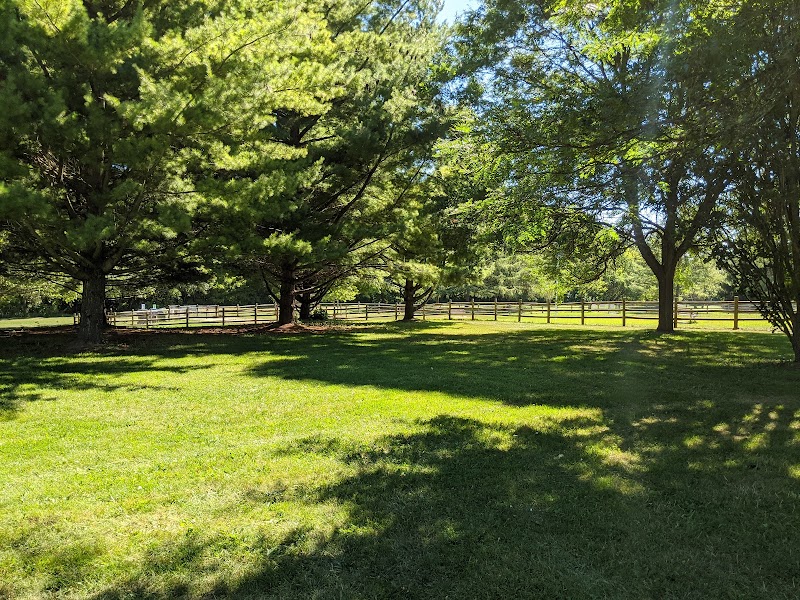 Earl Bales Park dog park