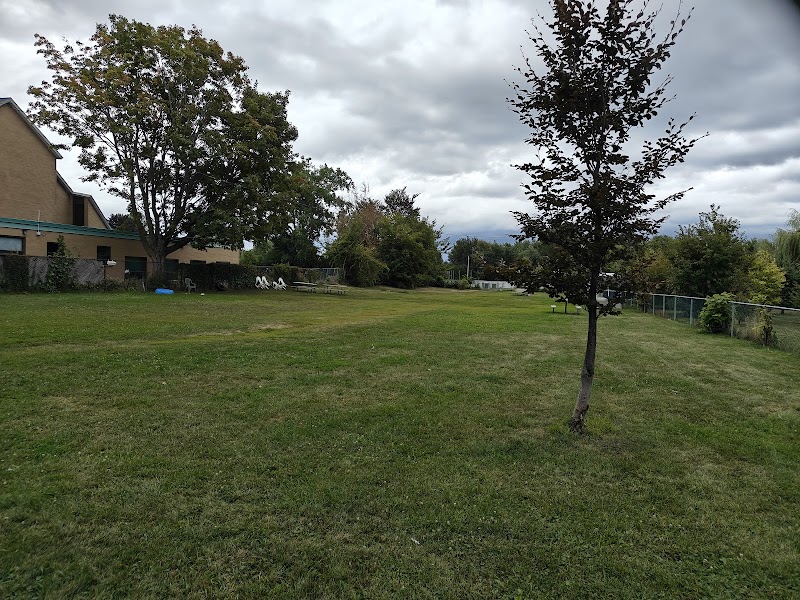 St Veronica’s dog park dog park