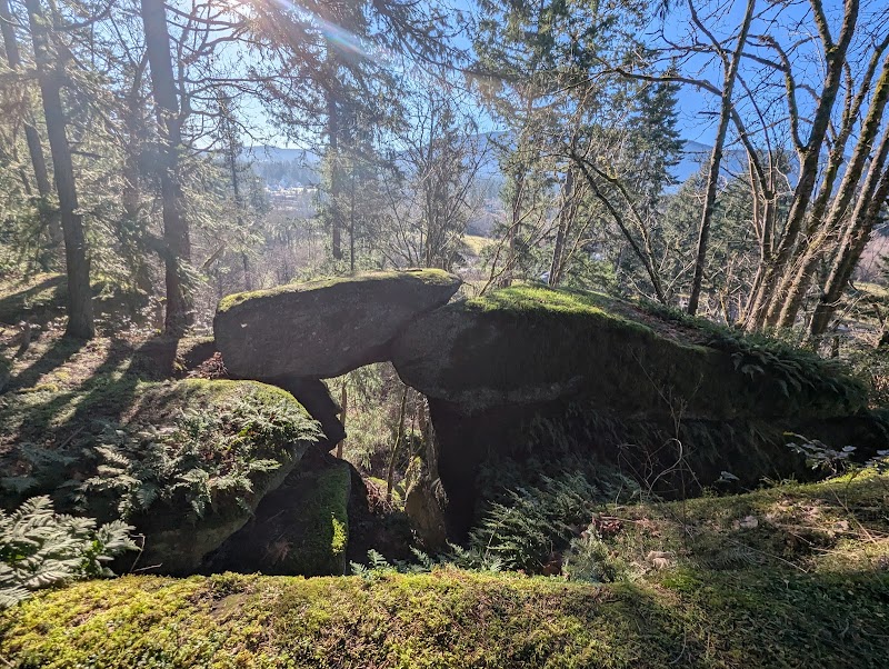 Northfield Rotary Lookout Park dog park