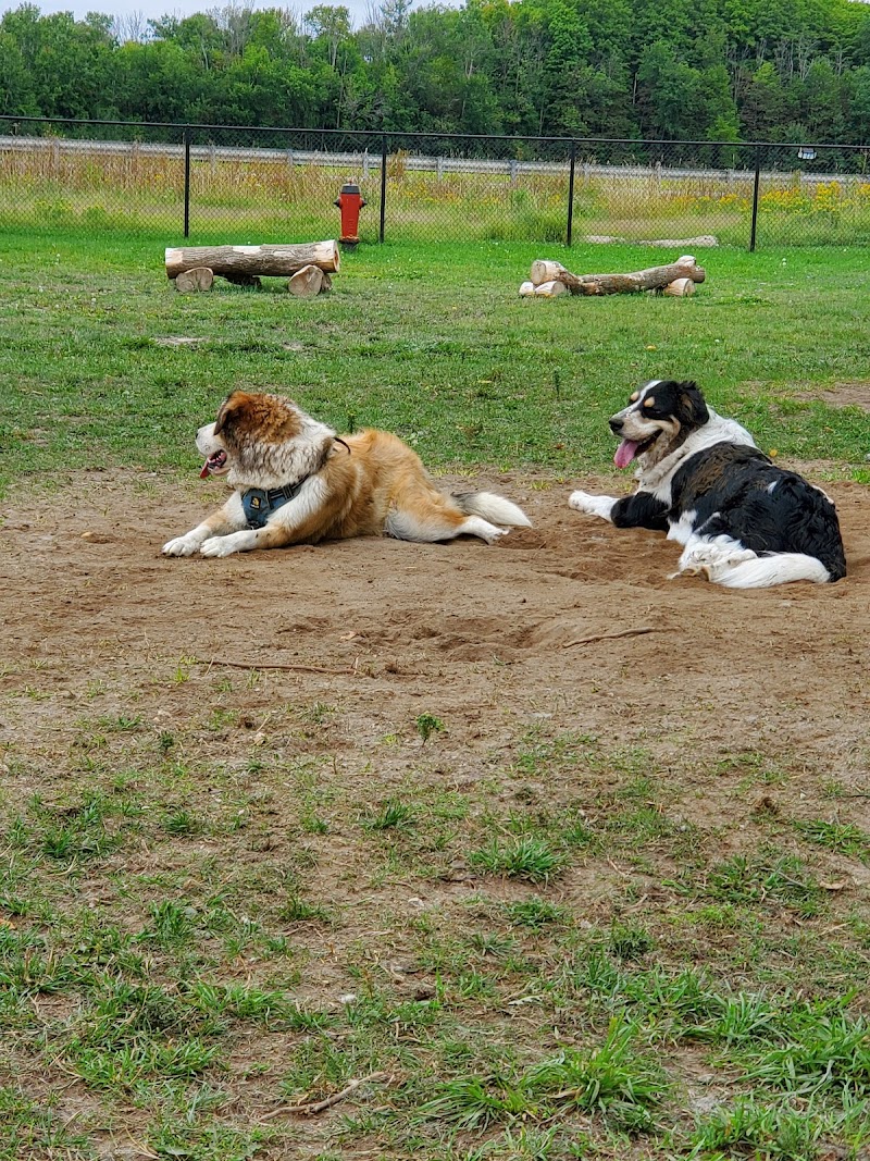 Clearview EcoBark Dog Park dog park