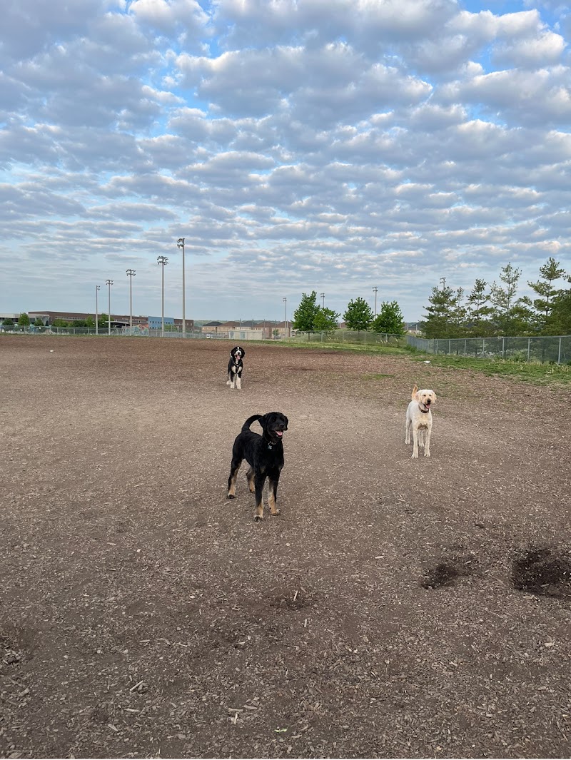 Norton Leash Free Dog Park dog park