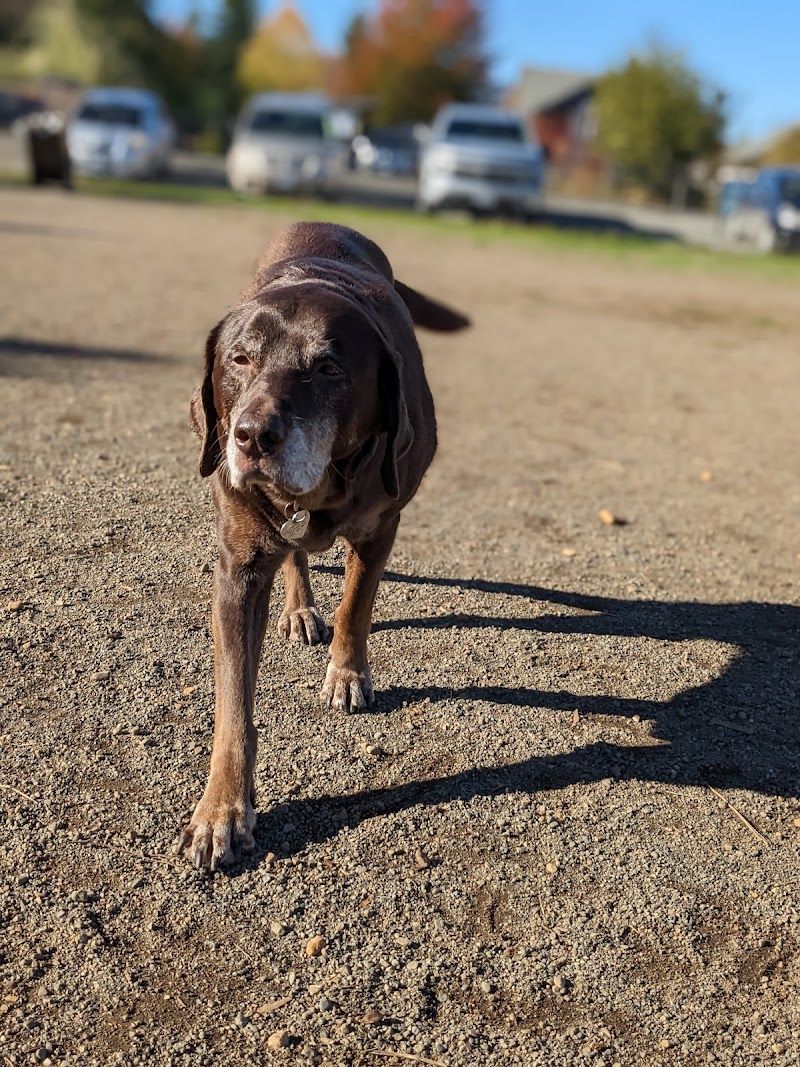 Cumberland Dog Park dog park