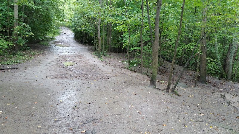 Harmony Valley Park and Off-Leash Dog Park dog park