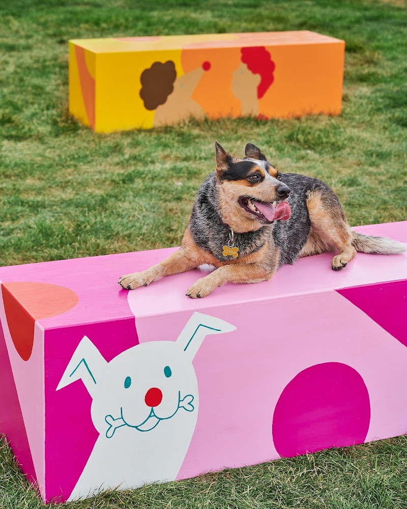 SouthBARK on Whyte dog park