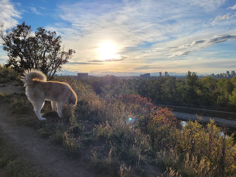Southview Off Leash Dog Park dog park