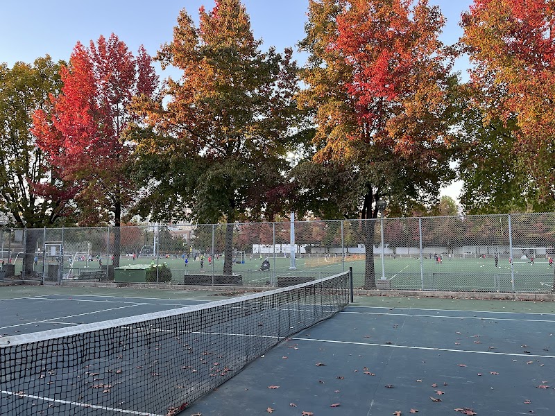 Andy Livingstone Dog Park dog park