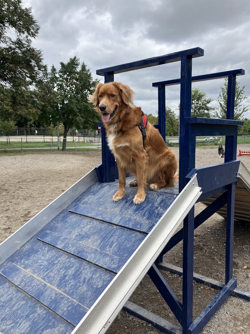 Parc Lafond dog park dog park
