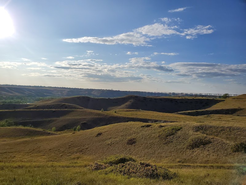Scenic Drive Dog Run dog park