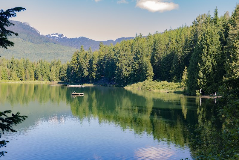 Canine Cove dog park