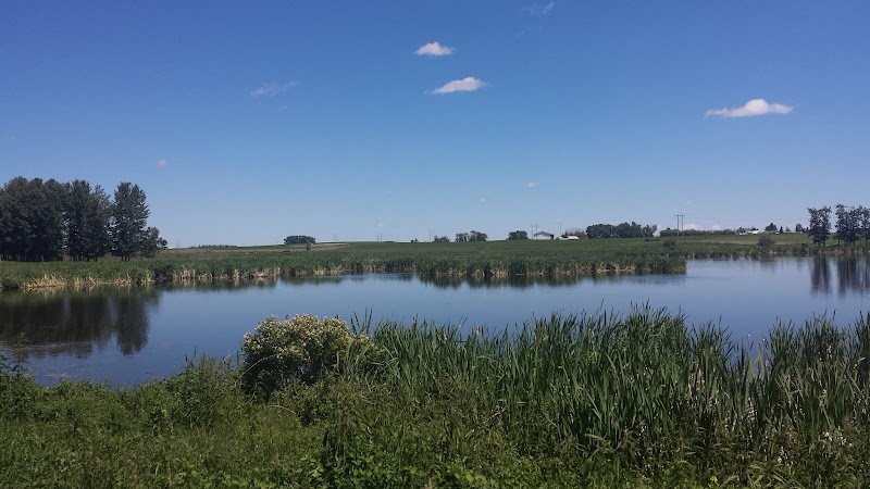 Olds Off-Leash Dog Park dog park