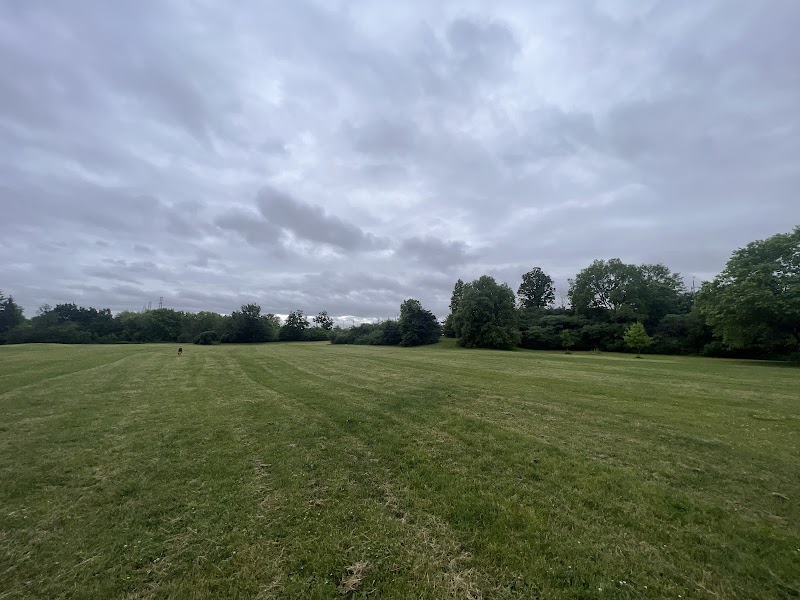 G. Ross Lord Dog Park dog park