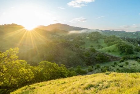 North Haven Off Leash Dog Park dog park