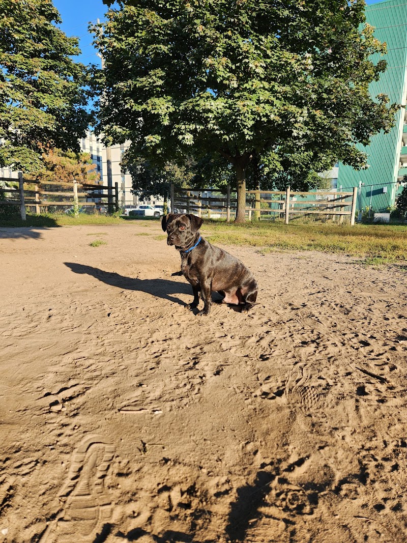 Woolner Dog Park dog park