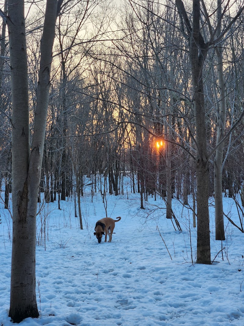 Stoney Creek Off-Leash Dog Park dog park