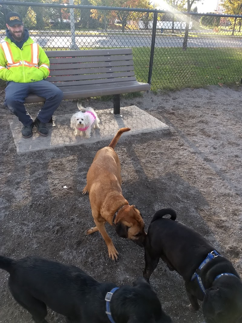 Dog Park - Salaberry-de-Valleyfield dog park