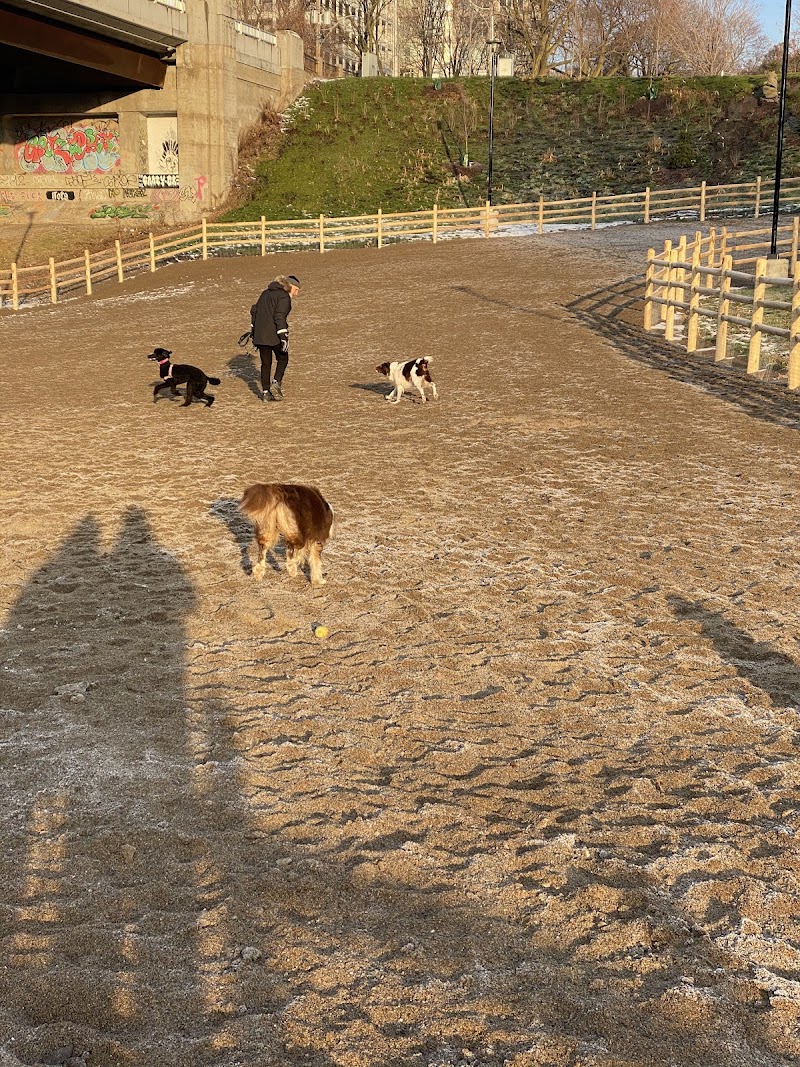 Dog Park at Winston Churchill Park dog park