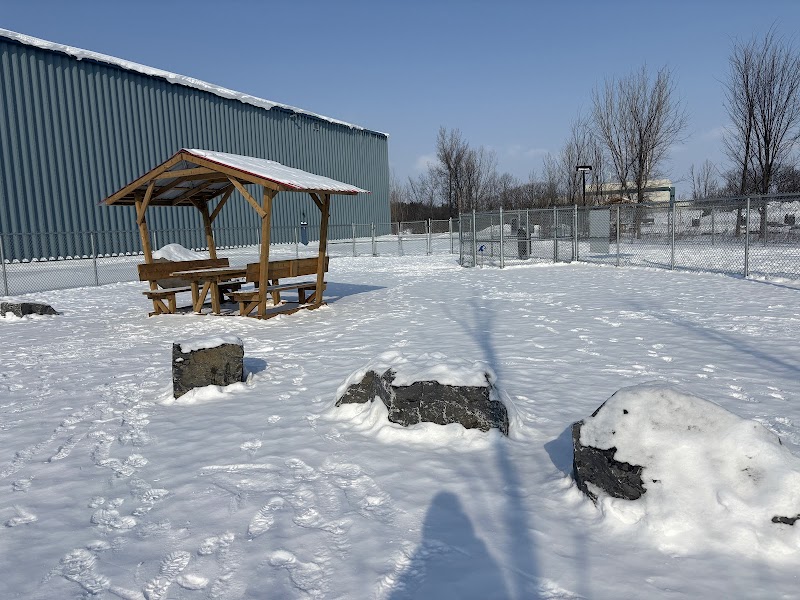 Parc canin Saint-Luc dog park