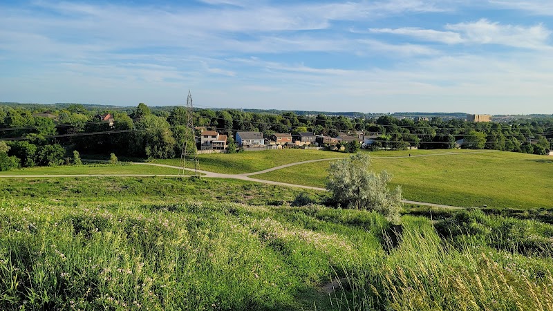 McLennan Park dog park