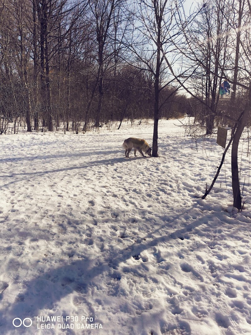 St. Jacobs Off Leash Dog Park dog park