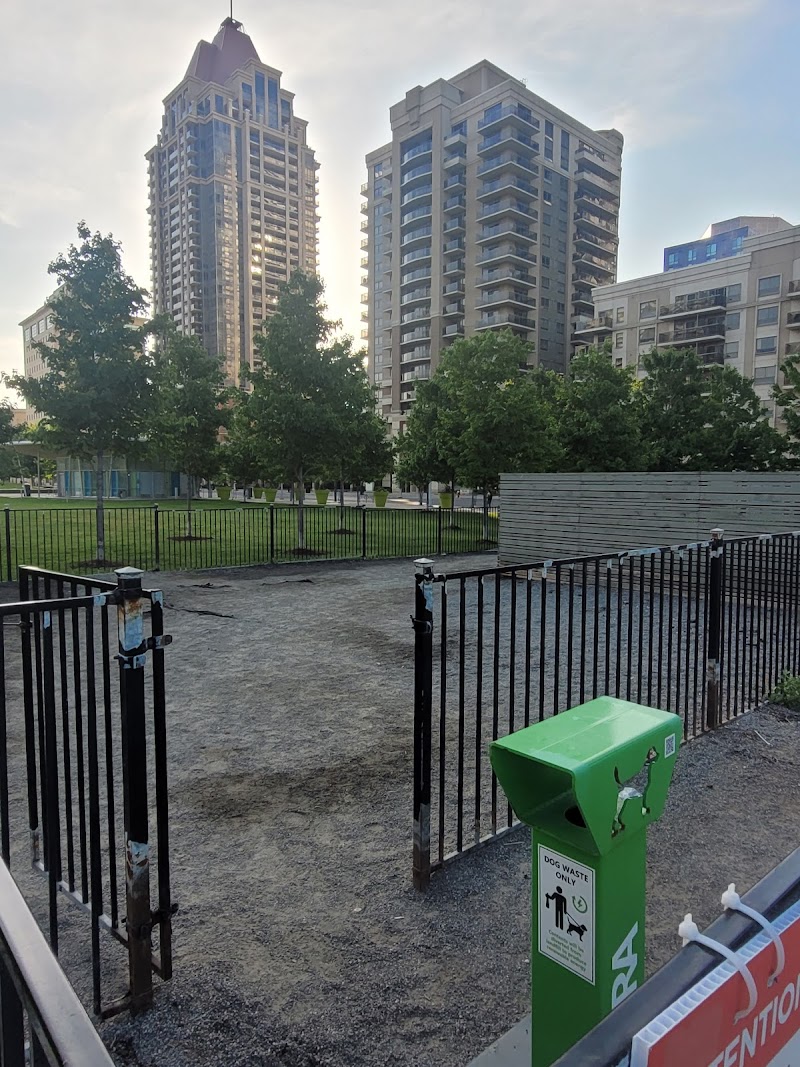 Community Common Dog Spot dog park