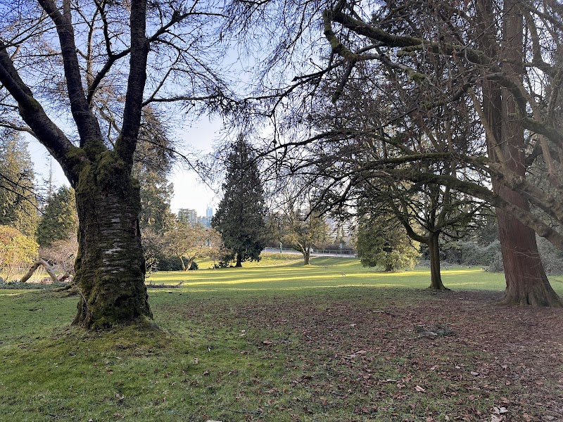 Stanley Park Dog Park — small dog area in Vancouver
