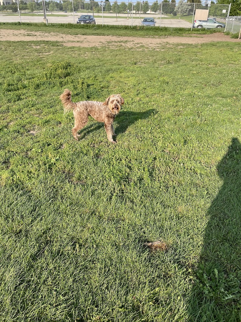 The Aud Neighbourhood Leash Free Dog Park dog park