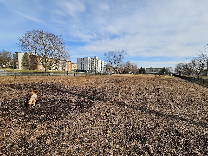 Bristol Street Dog Park dog park
