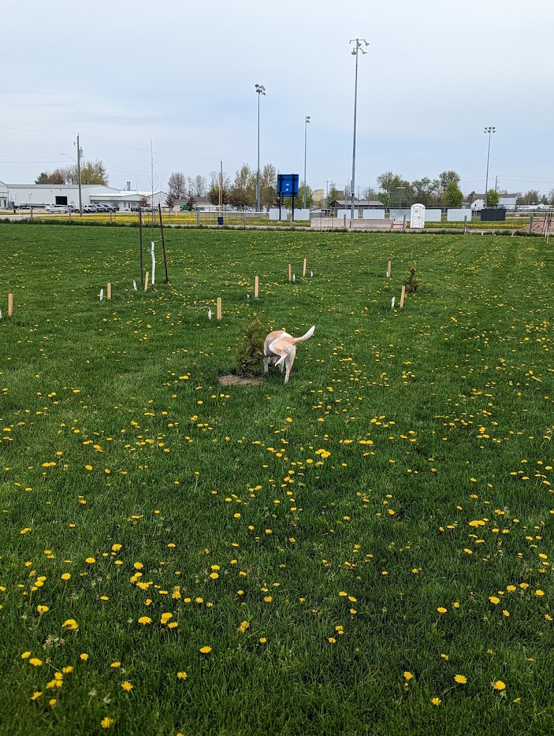 Mitchell Leash Free Dog Park dog park