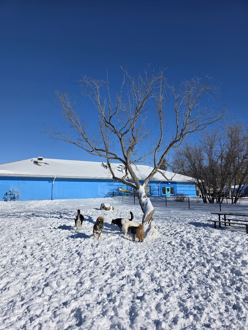 Caswell Dog Park dog park