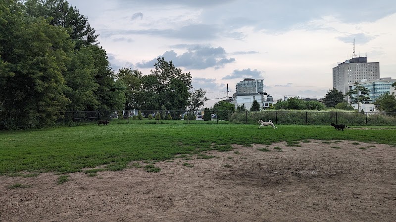 Parc canin Gamelin dog park