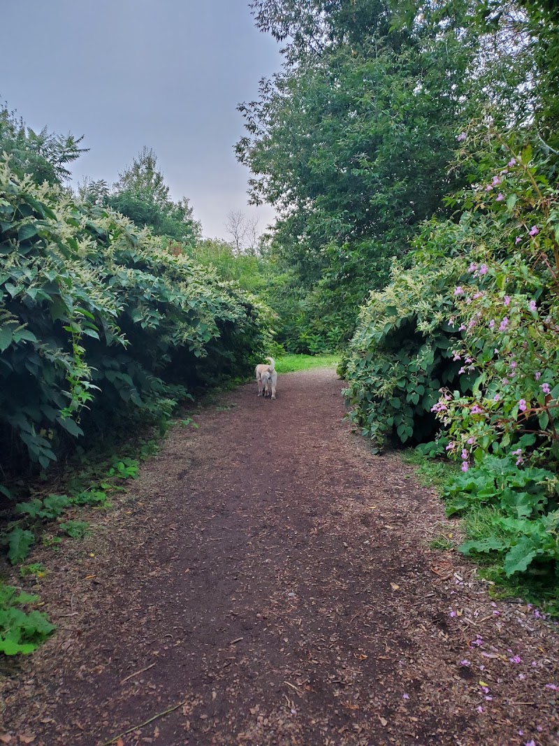 Cobourg Dog Park dog park