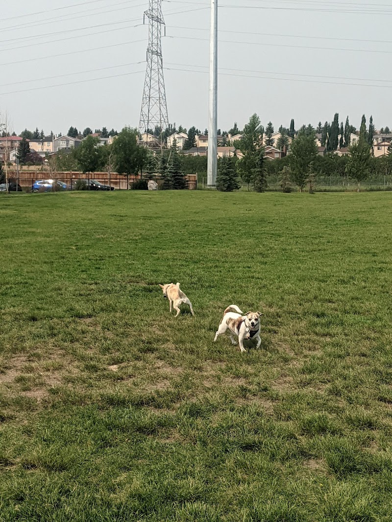Glenbrook Park off leash area dog park