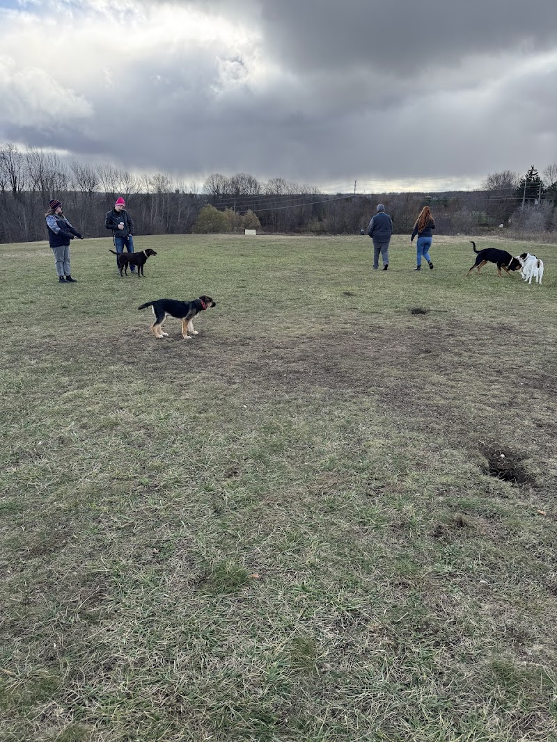 Saugeen Shores Off-Leash Dog Park dog park