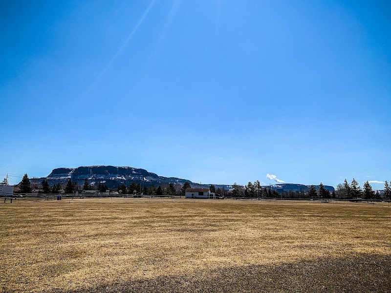 Westfort Playfield dog park