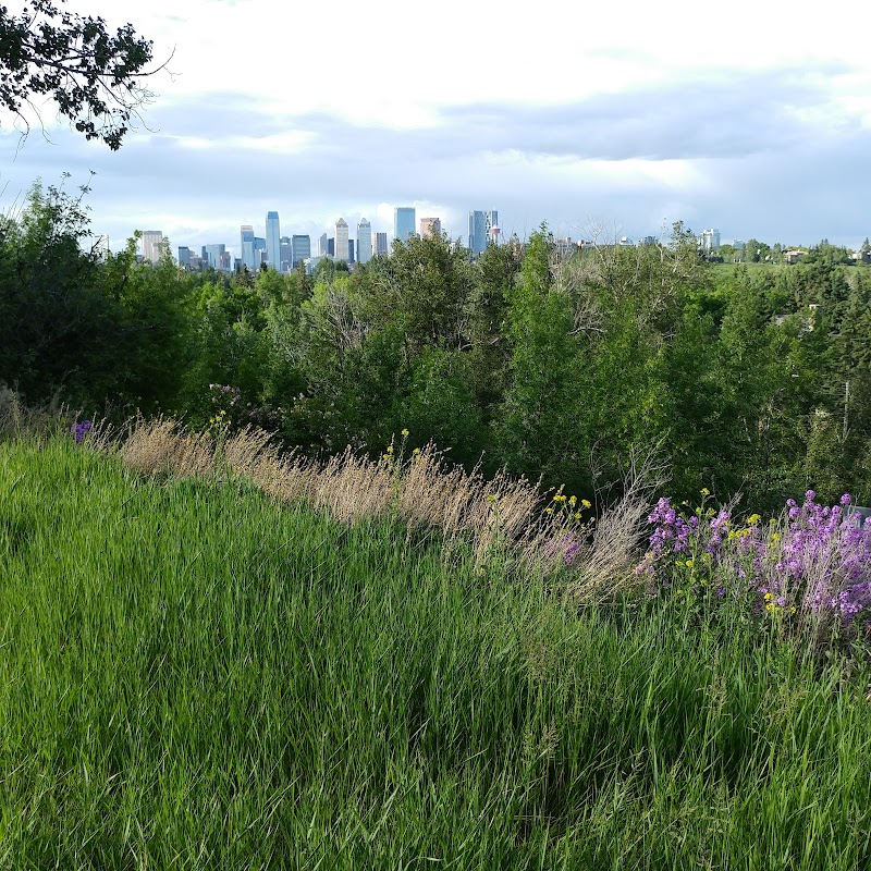 Elboya Off-leash Park dog park