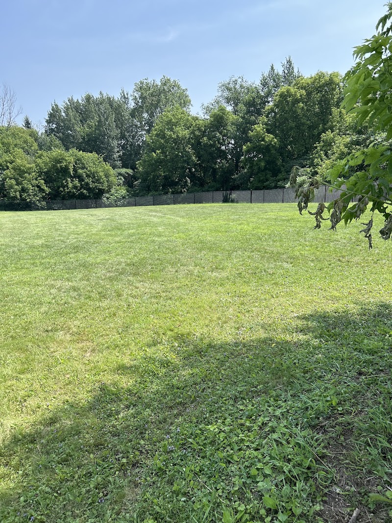 Greely dog park dog park