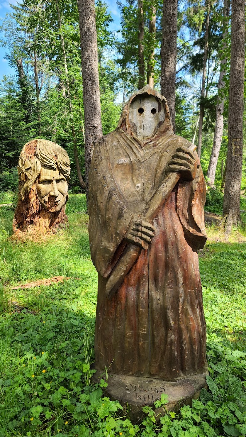 Dog Agility Park dog park