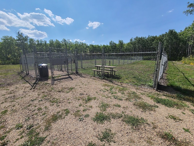 Kenosee lake dog park dog park