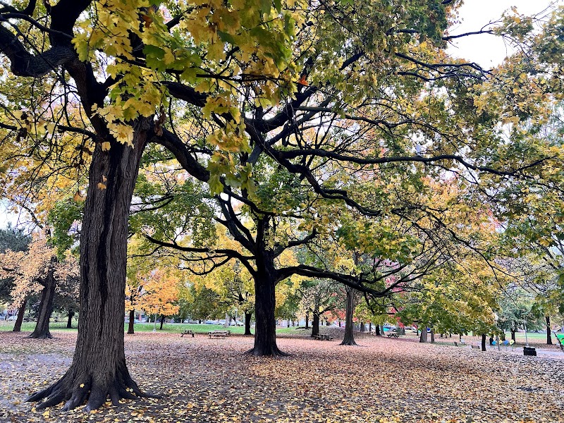 Westmount Park dog park dog park