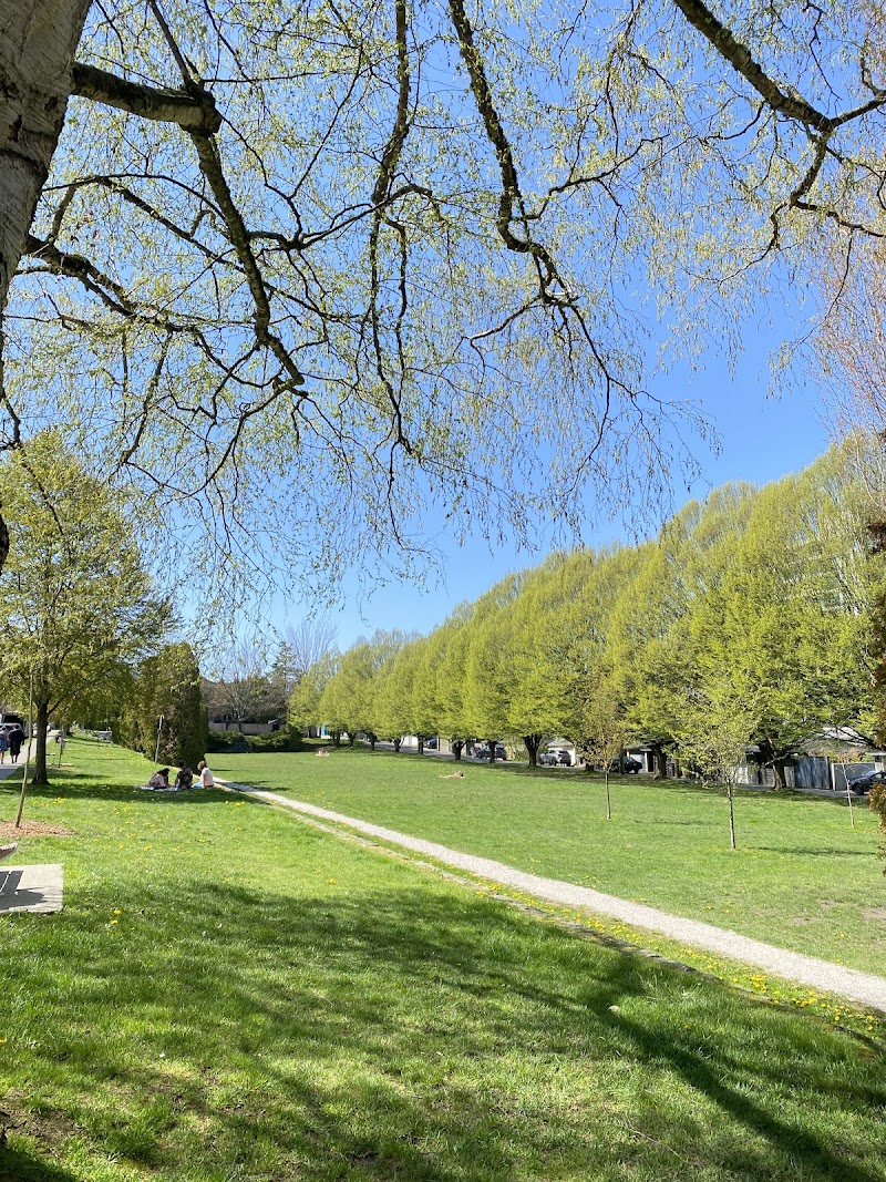 Granville Park dog park