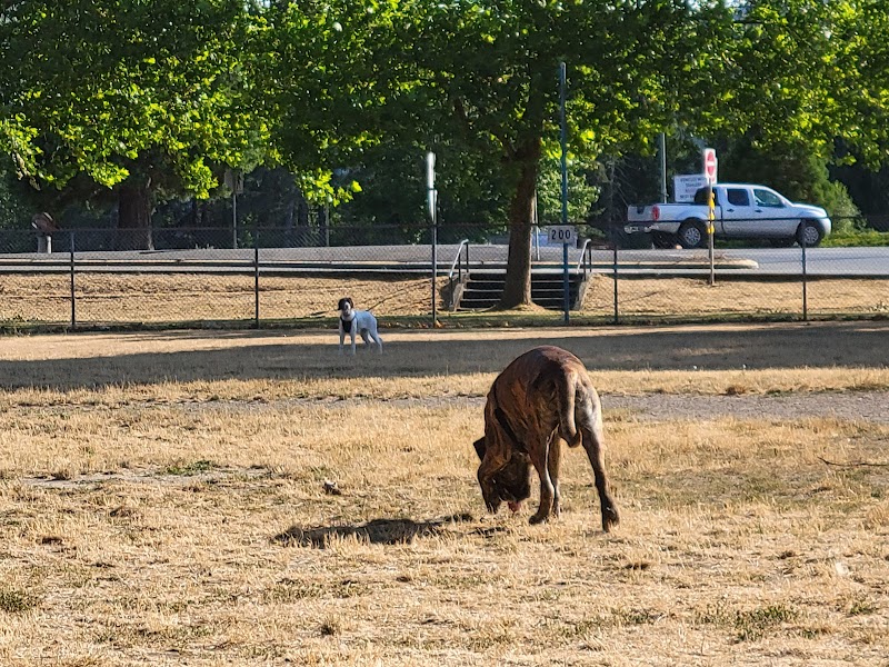 Stirling Off Leash Dog Park dog park