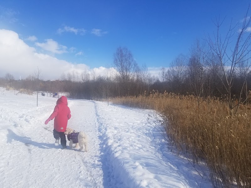 Georgina Leash Free Dog Park dog park