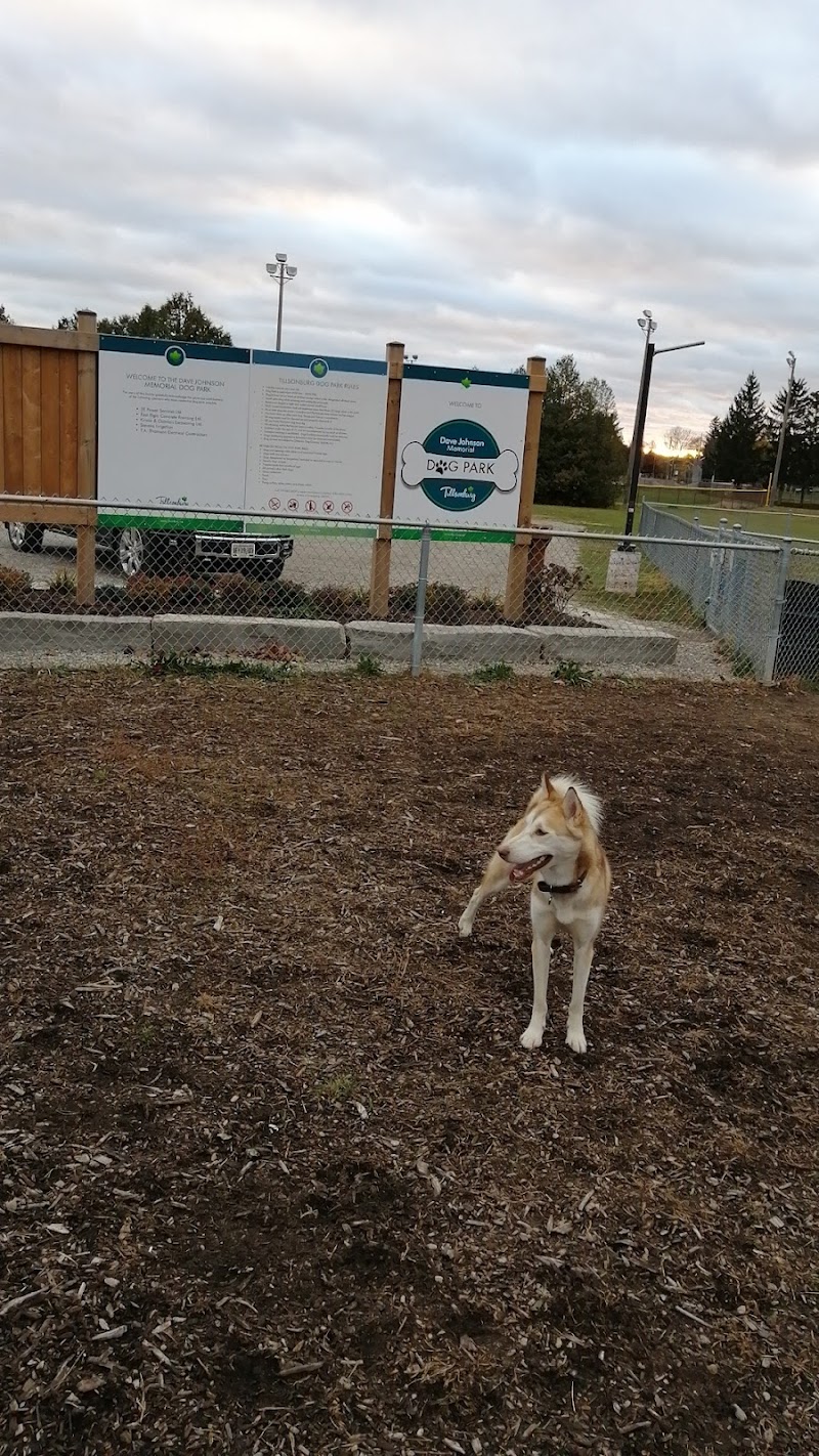 Tillsonburg Dog Park dog park