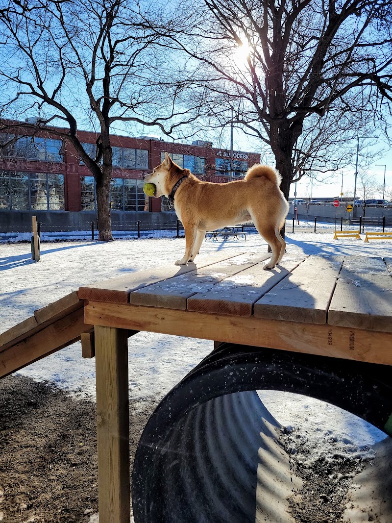 Pilote dog park — small dog area in Montreal