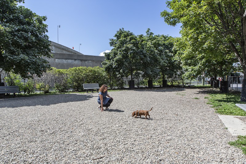 Parc à chiens Roger-Richer — mud-free dog park in Montreal
