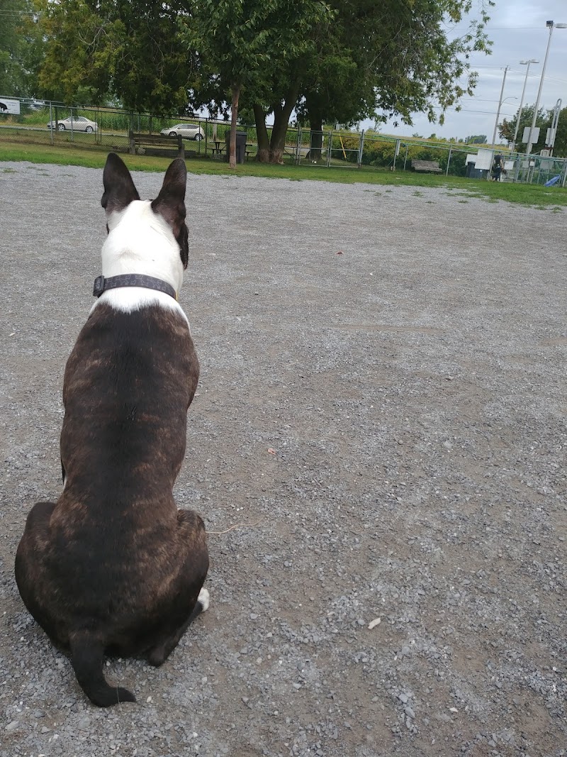 Parc canin AMPC dog park