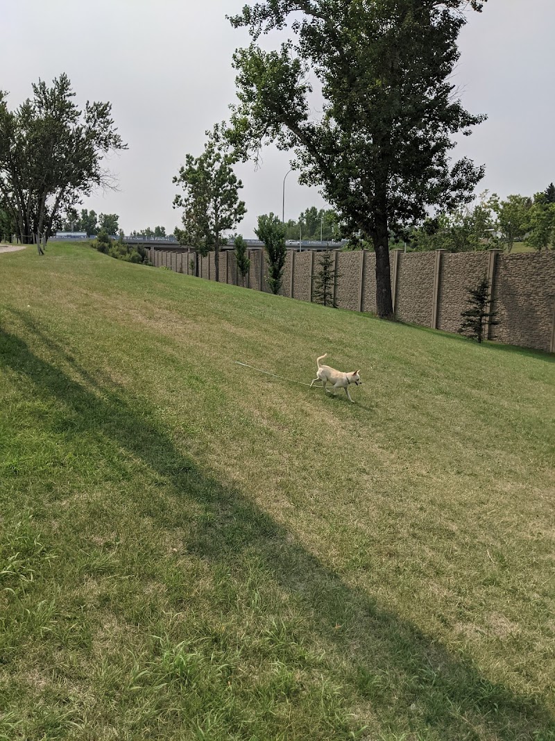 Summit off leash dog Park dog park