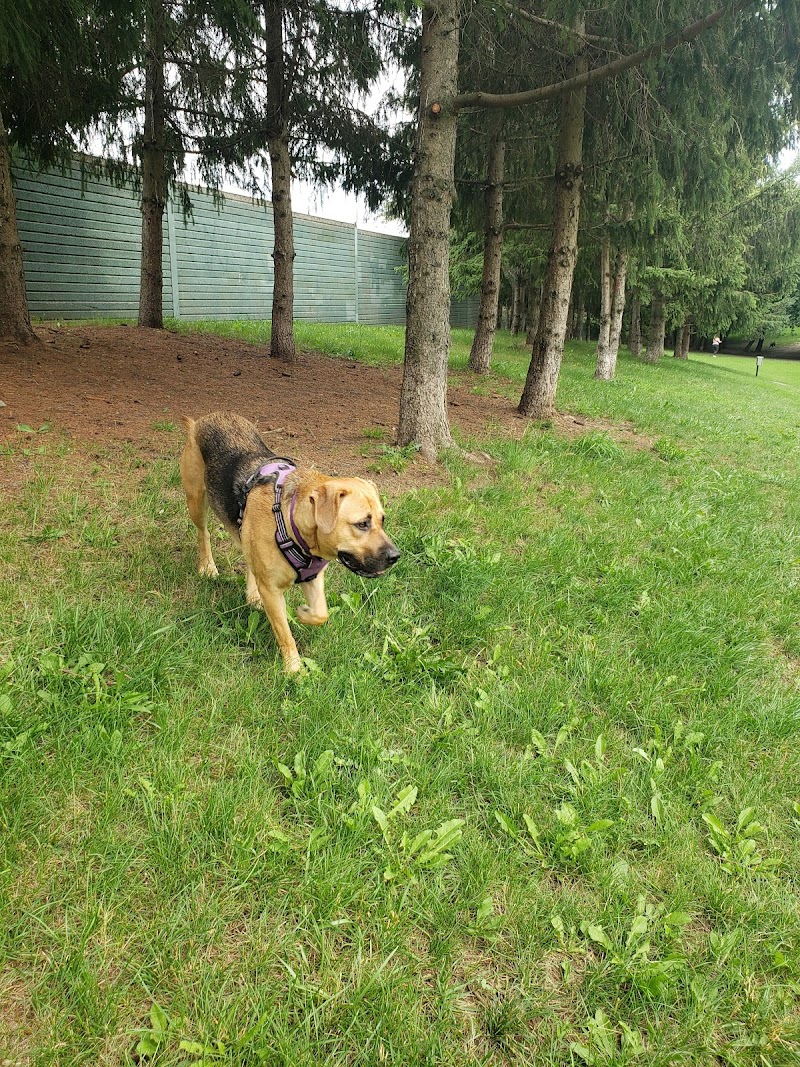 Pocket Designated Off-Leash Area dog park