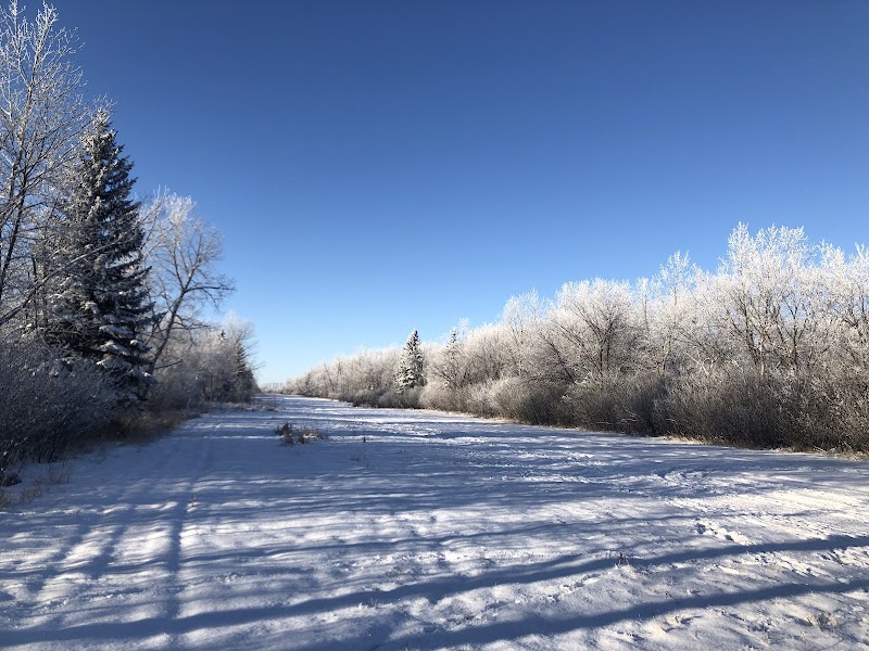 Southwest Dog Park dog park