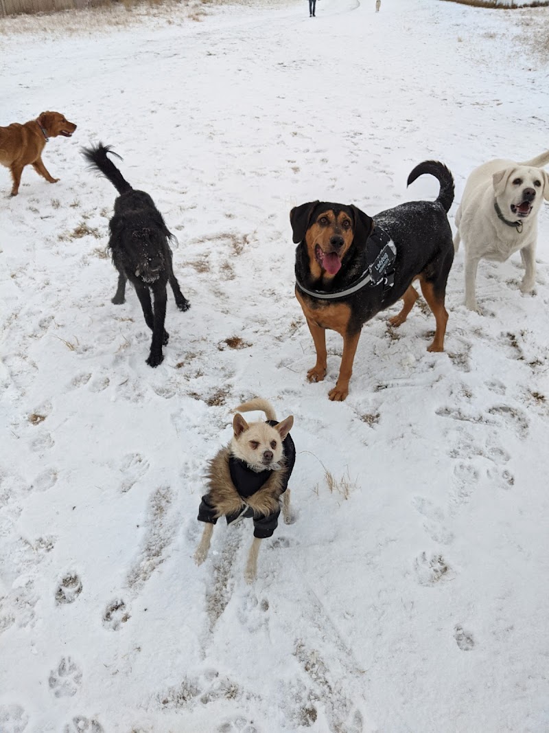 Taradale Off Leash Dog Park dog park